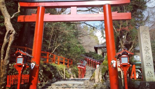 京大行くのは京都が好きだから？
